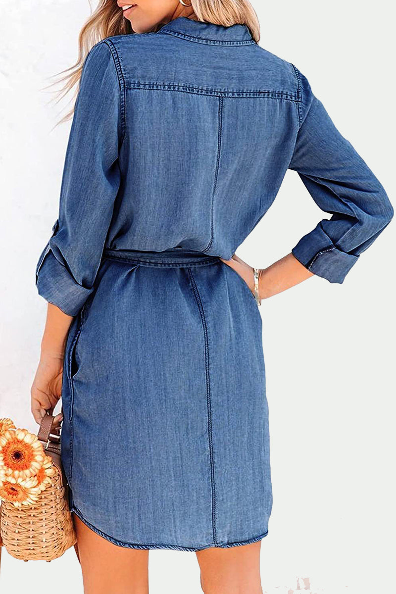 Elegant Solid Frenulum Turndown Collar Long Sleeve Loose Denim Dresses