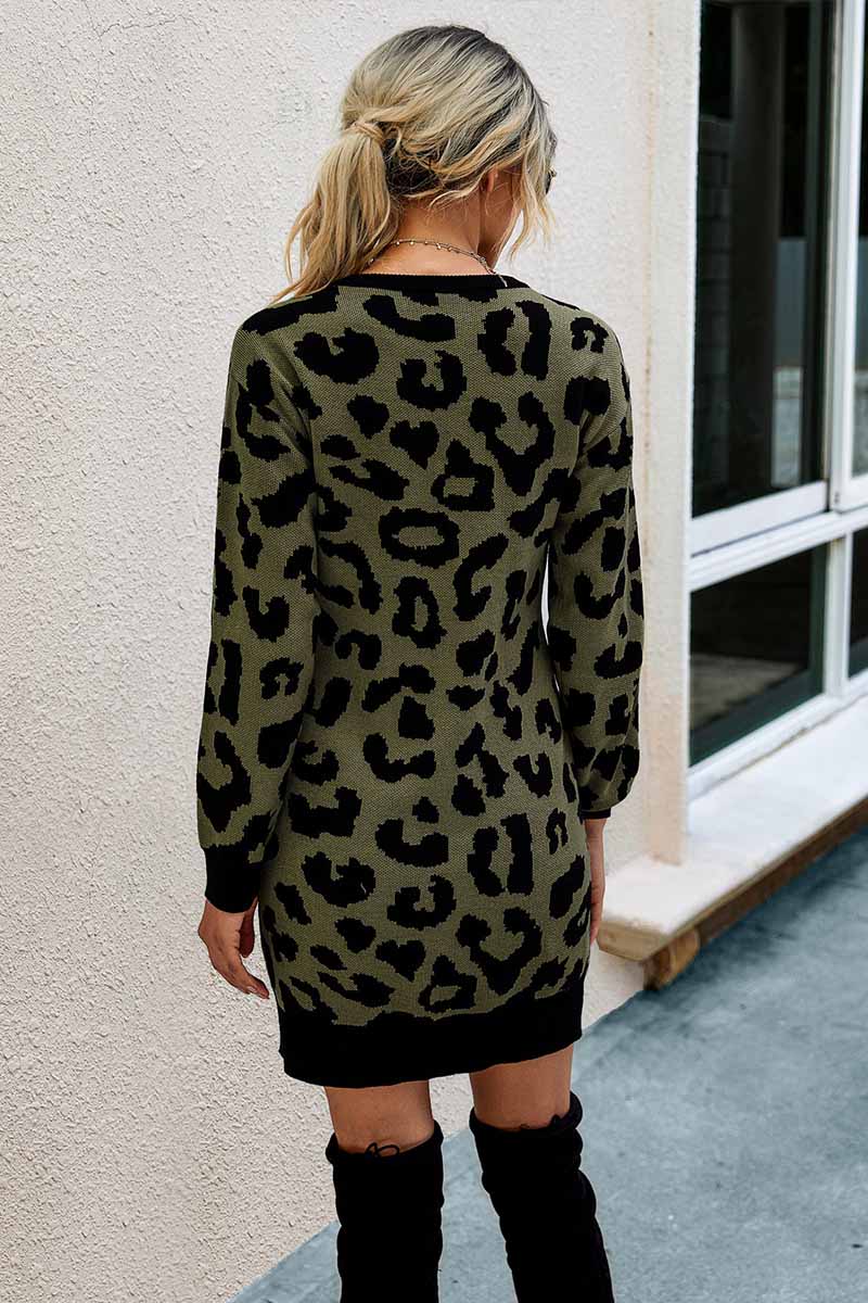 vmtvr -  Leopard Print Oneck Mini Dress