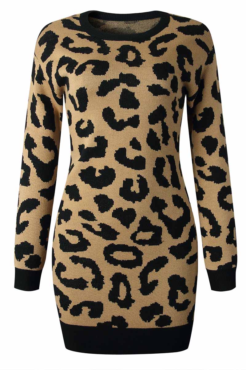 vmtvr -  Leopard Print Oneck Mini Dress