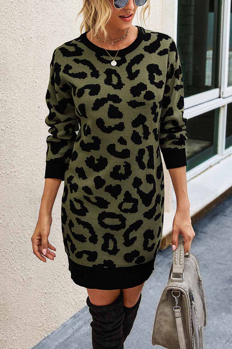 vmtvr -  Leopard Print Oneck Mini Dress