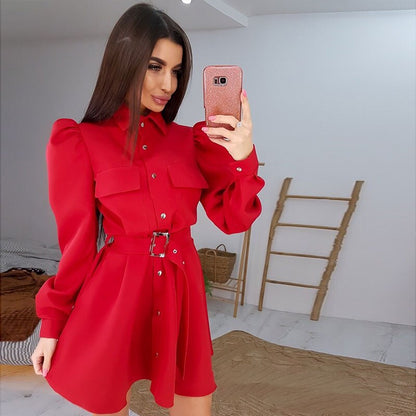 Women Casual Puff Sleeve Belt A Line Party Dress Long Sleeve Turn Down Collar Office Lady Fashion Autumn Winter Mini Dress