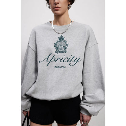 -Retro sports style outfit streetwear 90s fashion American Retro Style Embroidered Crewneck Pullover  Autumn New Cotton Thick Warm Sweatshirts Women Street Fashion Jumpers