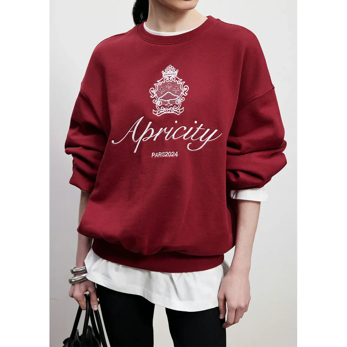 -Retro sports style outfit streetwear 90s fashion American Retro Style Embroidered Crewneck Pullover  Autumn New Cotton Thick Warm Sweatshirts Women Street Fashion Jumpers